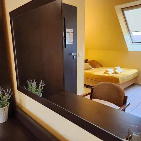 Goscinne Zacisze 3* Грзибово